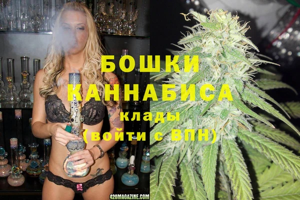 шишки Медвежьегорск