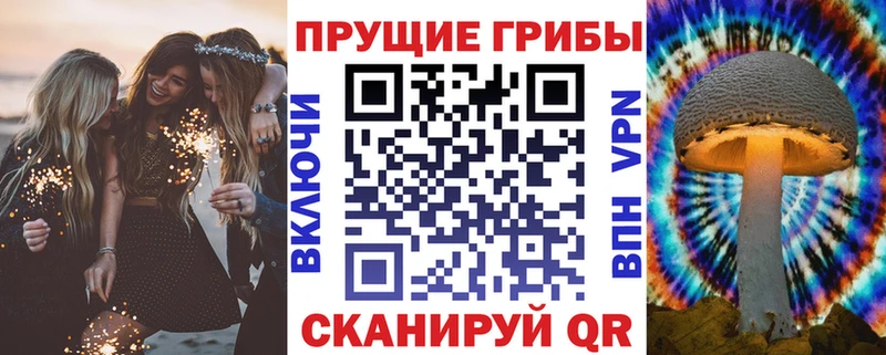 Галлюциногенные грибы мицелий  дарнет шоп  Севск 